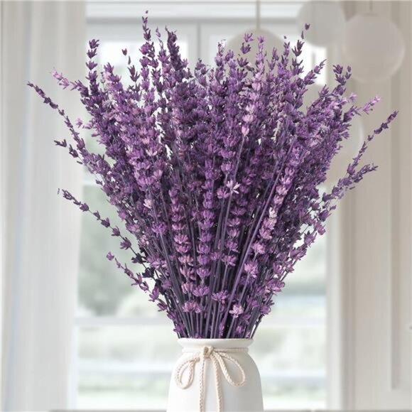 Dried Purple Lavender Flowers Bundle-Dried Preserved Lavender Bouquet 15-17" - Picture 1 of 7